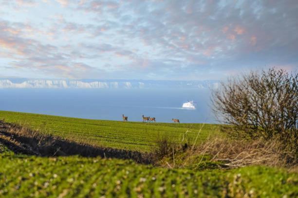La Bull'Opale - Appartement d'exception avec Balnéo Boulogne-sur-Mer Esterno foto
